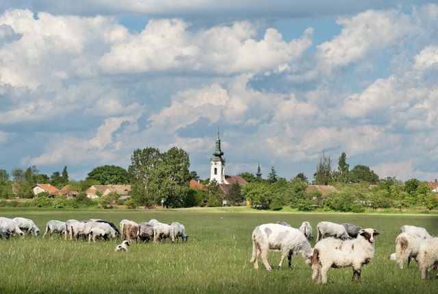 Idaho Ferienwohnung